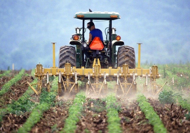 Crédito Para o Homem do Campo